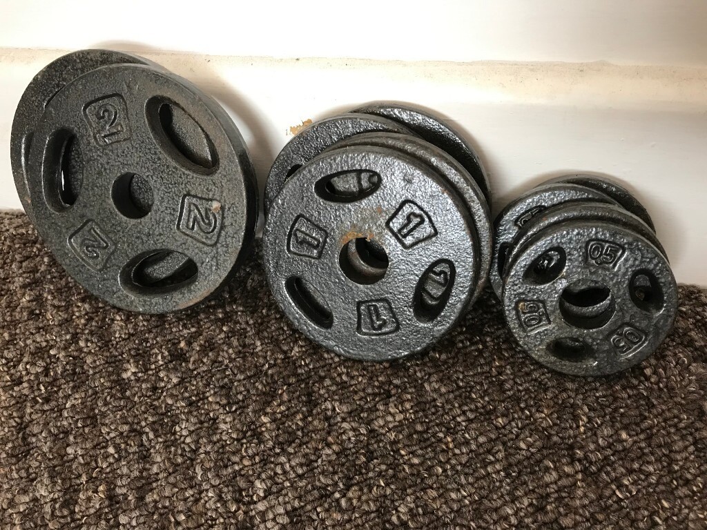 LOOSE METAL WEIGHTS in Exeter, Devon Gumtree