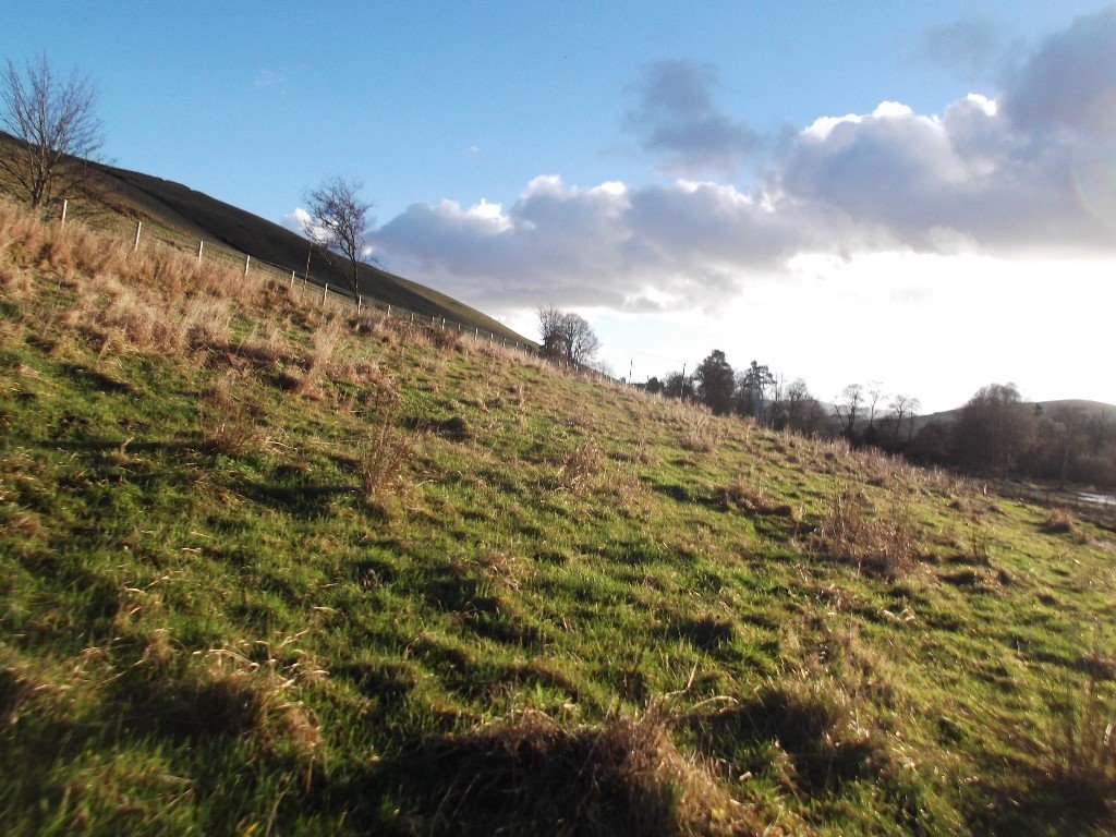 GRAZING LAND FOR RENT AT BIGGER 3.2 HECTARES in Dalkeith, Midlothian
