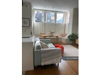 1 bedroom flat in Ambleside Avenue, London, SW16 (1 bed) (#1299362)
