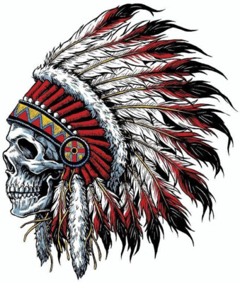 INDIAN CHIEF SKULL LOGO VINYL 3M USA MADE DECAL STICKER TRUCK WINDOW BUMPER WALL