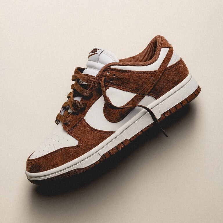 Nike Dunk Low Next Nature Red Sepia HJ7673-001 Women New | eBay