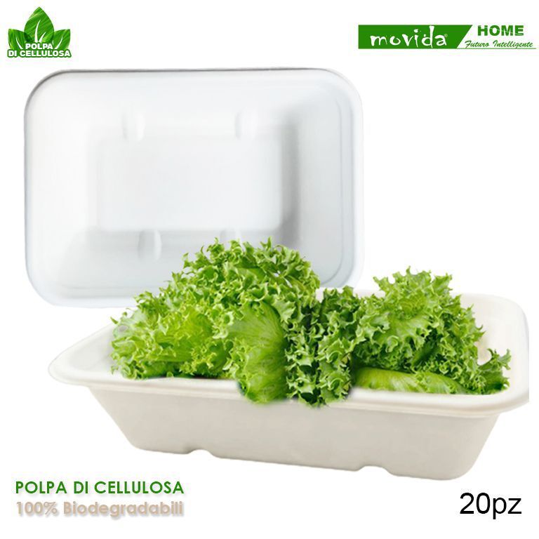 Set Servizio 20 Piatti Box Rettang Biodegradabili Polpa Di Cellulosa 500ml dfh
