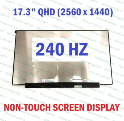 240Hz 17.3'' WQHD Laptop lcd Screen ASUS ROG Strix G17 G713PU G713PI G713PV