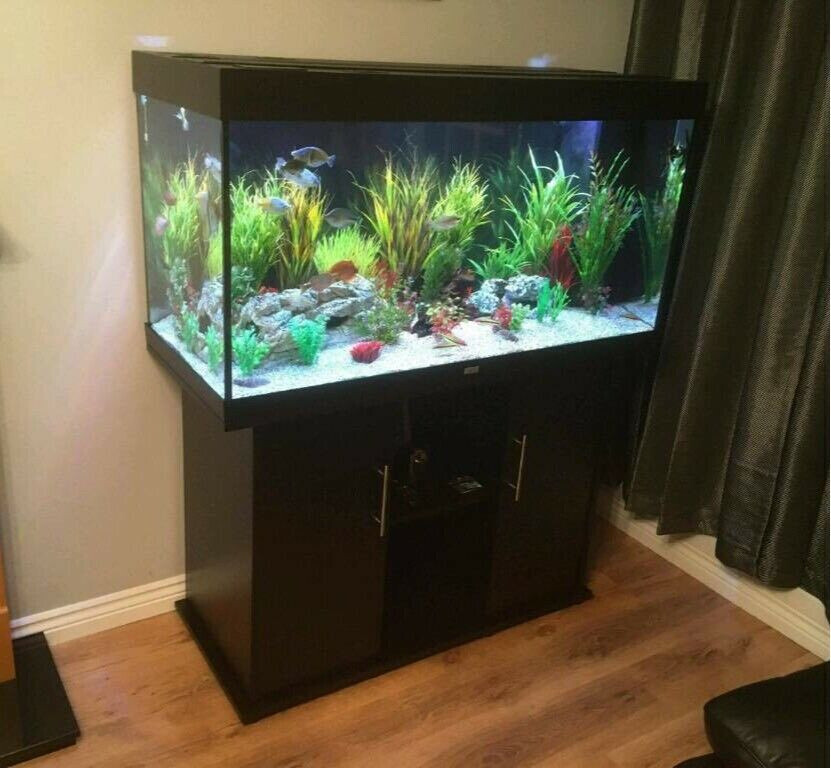 4ft Juwel rio 300 tropical marine cold water fish tank aquarium setup