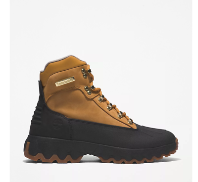 Low ankle hotsell timberland boots