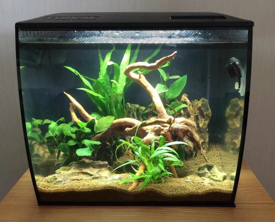 Tropical Fish Tank. Fluvel Flex Aquarium 34L with LED lighting and