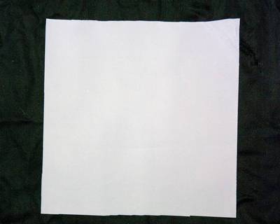 50 Micron Polyester Mesh for Catching Rotifers 6''x12'' All water types