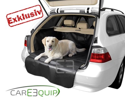 Ford C Max Hundedecke Auto