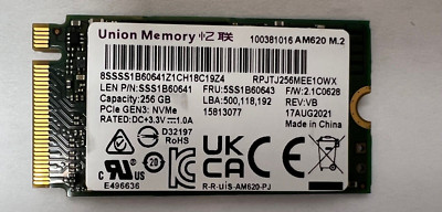 Union Memory 256GB SSD M.2 2242 NVMe PCIe GEN3 AM620 RPJTJ256MEE1OWX SSS1B60641