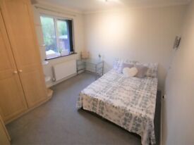 image for Large Double room to let in Parkstone 8BR-3
