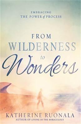 From Wilderness to Wonders: Embracing the Power of Process (Paperback or Softbac
