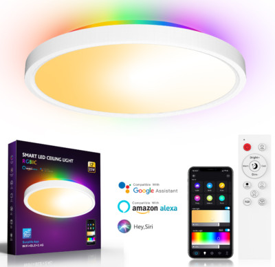 Ranein Smart Ceiling Light LED Fixture Adjustable 3000-6500K Color Dimmable Lamp