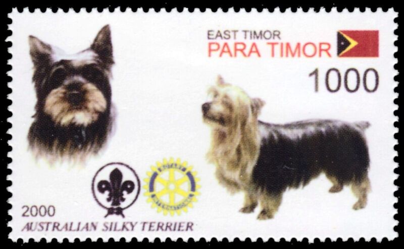 TIMOR LESTE 2003i - Dogs of the World "Australian Silky Terrier" (pb74191+)