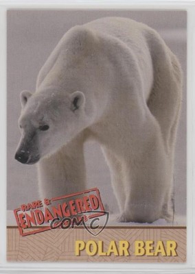 1993 Rare & Endangered Species Proof Edition /5000 Polar Bear #4 4xw