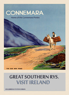 Connemara Pony Ireland Irish Dublin Travel Vintage Poster Repro FREE SHIP in USA