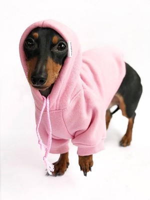 XL Dog Hoodie boxer lab collie pit bull Step Aside Barbie Dog Shirt clothes USA