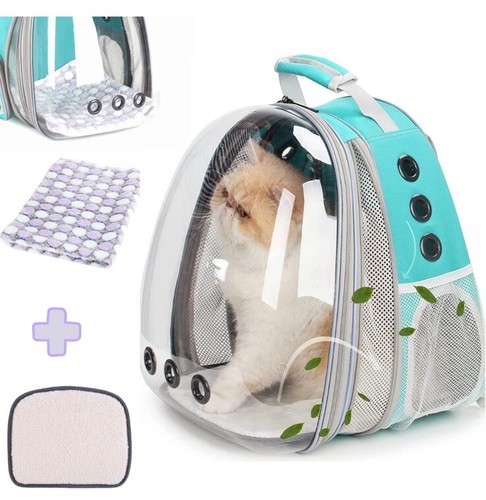 For Cats And Dogs, Green-front