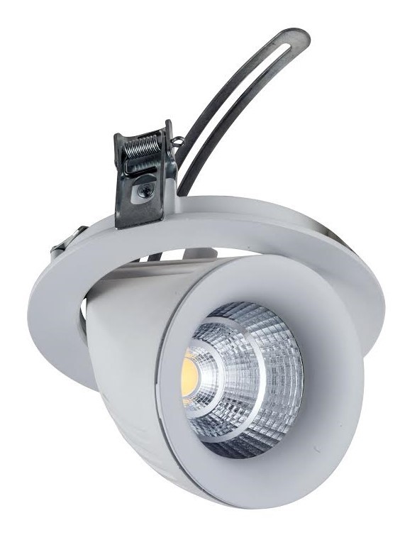 Swivel and scoop downlight