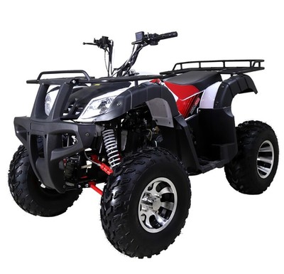 New Tao Motor bull 200 atv 170cc for sale Automatic w/ Reverse Free shipping atv