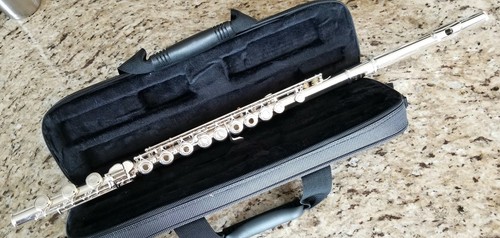 TREVOR JAMES PRIVILEGE II OPEN HOLE FLUTE! SOLID SILVER RISER, B FOOT, GORGEOUS