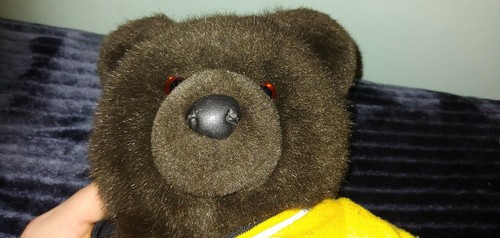LL Bean Boston Bruins Teddy Bear ~ RARE ~ No Longer Made