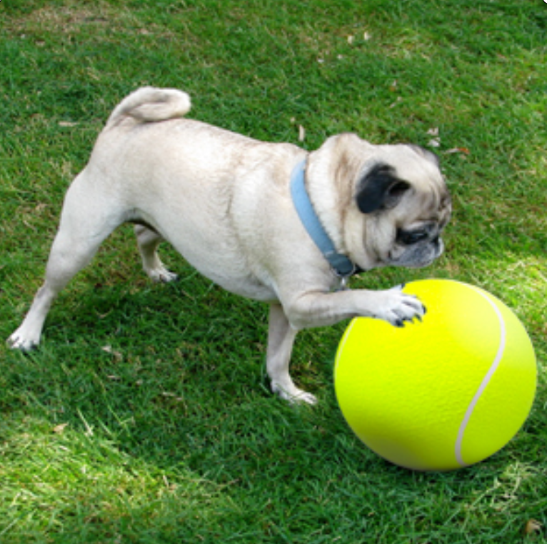 Giant Yellow Dog Tennis Ball Large Rubber ...