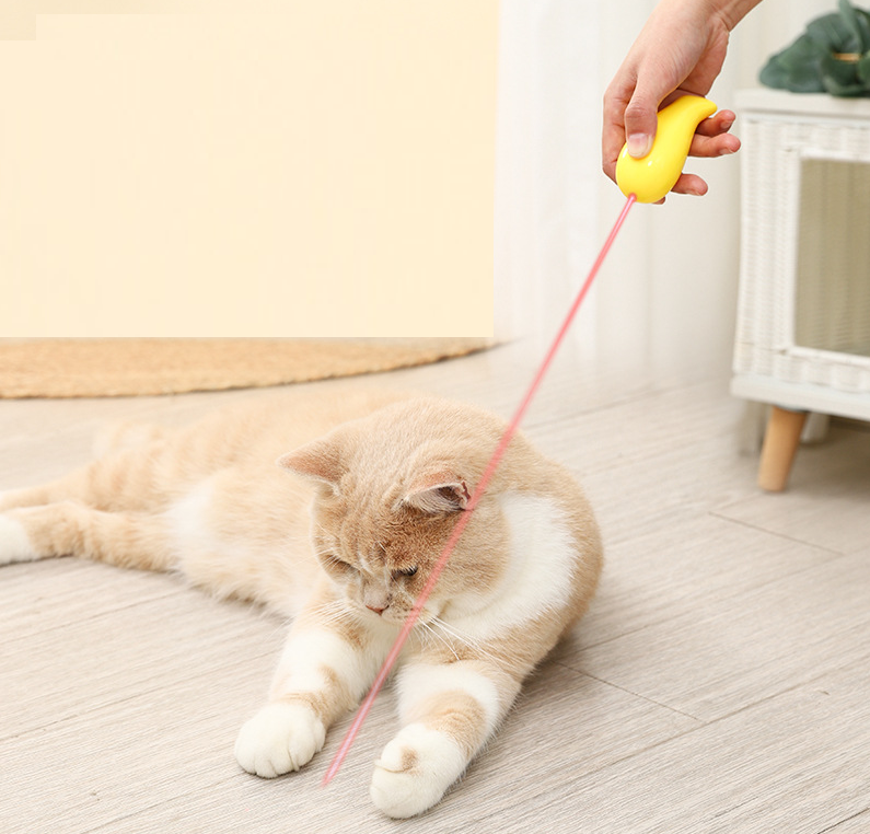 Cute Fish Cat Red Laser Chaser Play Pet Dog Interactive Teaser Toy Kitten Puppy