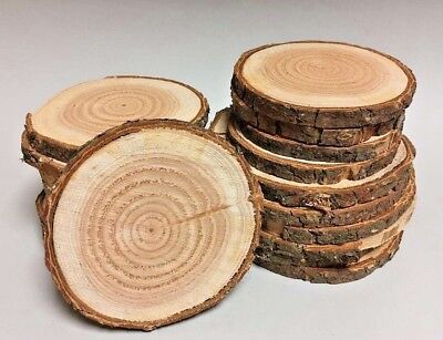 DOUGLASIE Restposten Holzscheiben Astscheiben Baumscheiben Deko 20 St 10-16 cm 