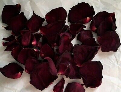 Rose Petals Burgundy Organic Dried ~ 100% Premium ~ Wedding Party Decor USA