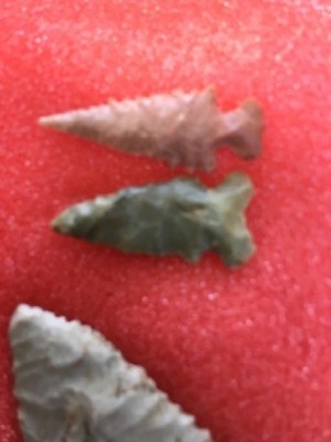 ozark arrowhead collection Hathcock/Wallace 24 points some bird points