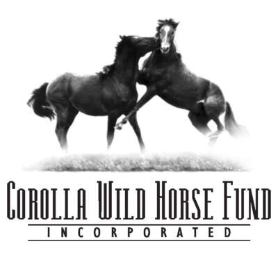 Corolla Wild Horse Fund