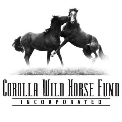 Corolla Wild Horse Fund