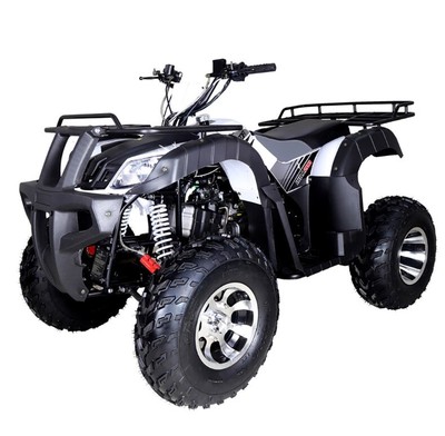 New Tao Motor bull 200 atv 170cc for sale Automatic w/ Reverse Free shipping atv