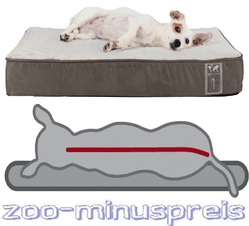 Hundekissen Vital Kissen Best of all Breeds Rückenschonend in versch. Gr.