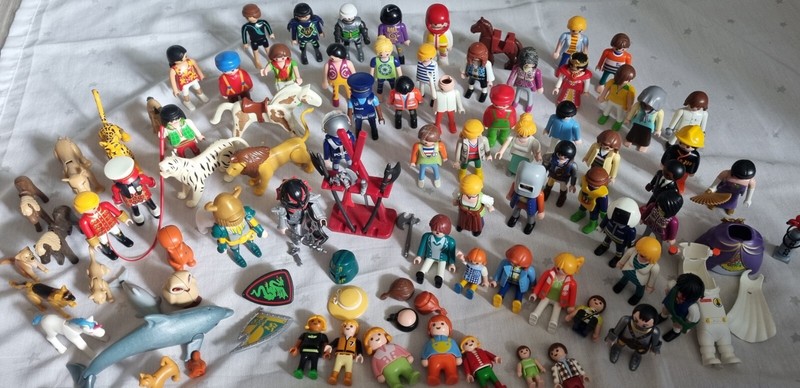 Playmobil  Lot 4230 5568 6669 55552 4233 Persos Animaux Accessoires Vehicules