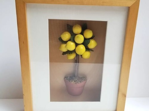 Shadow Box With Lemon Tree 8.5” X 10.5”, Decorative, Garden