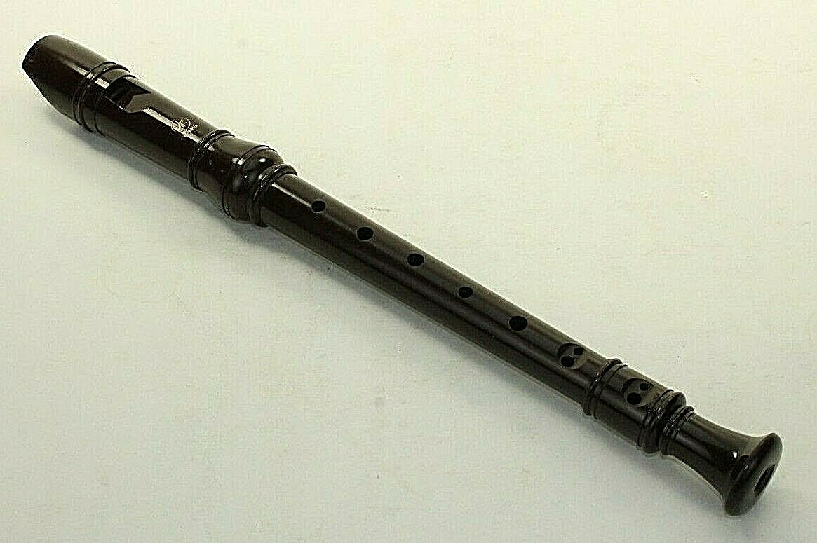 Yamaha Soprano Recorder Baroque w/Case PLUS Additional Woodwind Instrument Play