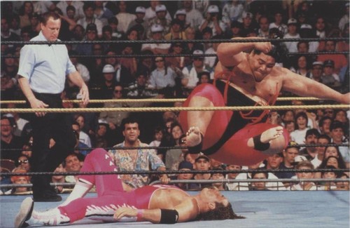 1999 Comic Images WWF WrestleMania Live! - Bret Hart Yokozuna #14