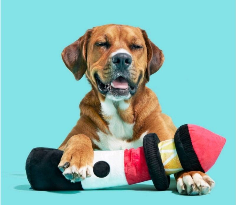 Bark Box 17" Lighthouse Squeaky Dog Toy