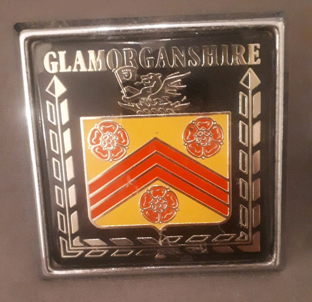 Rac Car Badge for sale in UK 60 used Rac Car Badges