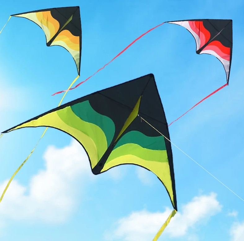 1pc Large Delta Beach Kite with 100m String – Easy