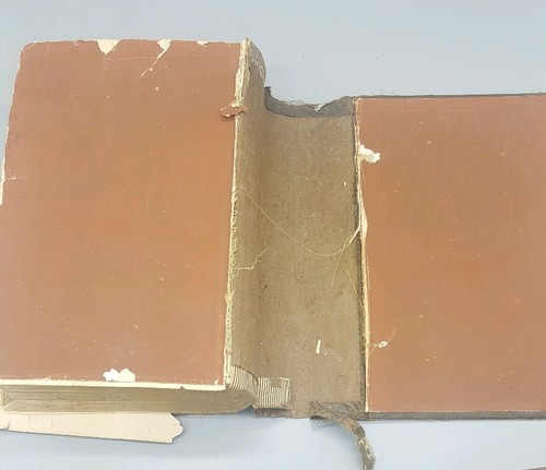 Antique Medical Book   Reynold's System of Medicine - Volume 2 1880