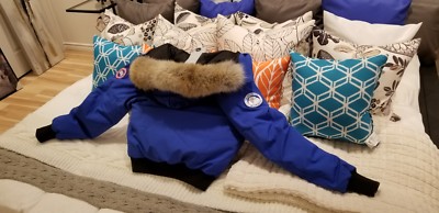 Pre-owned Canada Goose Grey Label Edition Polar Bear  Blue Label Pbi Chilliwack Xl Parka In Royal Blue (polar Bear Limited Edition) Pbi