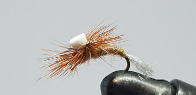 taille 14 BH Bead Head Minuit Pheasant Tail Nymph Fly Fishing Flies 2 mouches