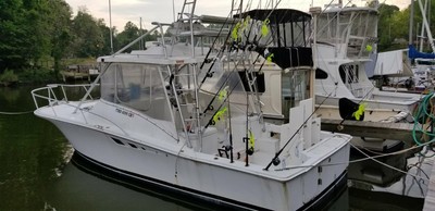 1995 Luhrs 320 Open