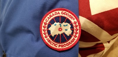 Pre-owned Canada Goose Grey Label Edition Polar Bear  Blue Label Pbi Chilliwack Xl Parka In Royal Blue (polar Bear Limited Edition) Pbi