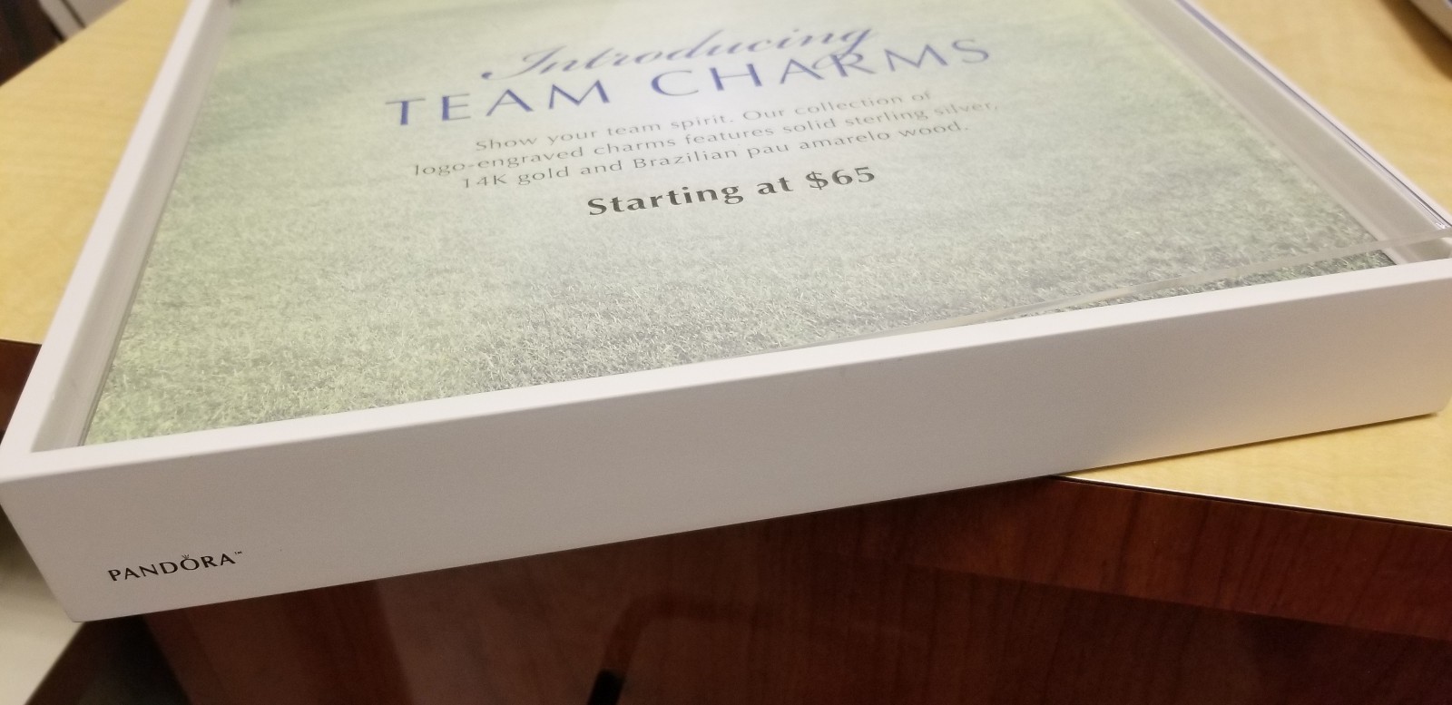 New Authentic PANDORA Charm Tray with Changeable Ad space  10 x 16