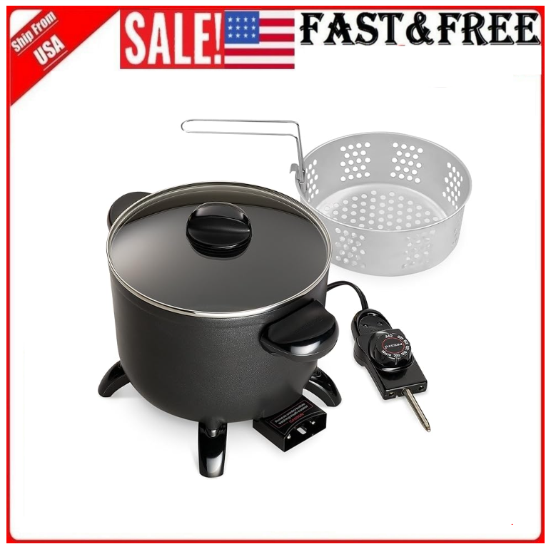 Electric Deep Fryer Dual Daddy Cooker Home Kitchen