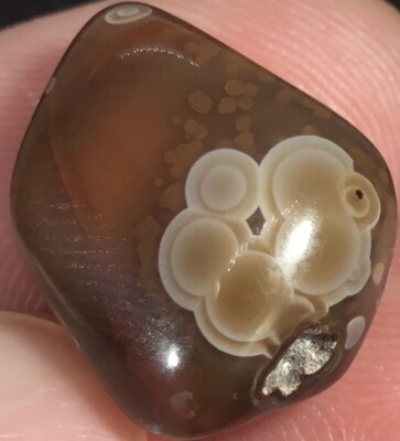 0.2 oz Lake Superior Agate Polished TOP SHELF Eye Galaxy Of Eyes Lsa