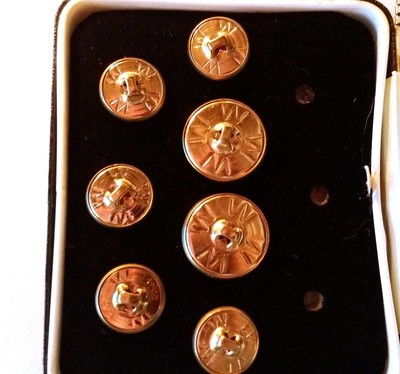 Vintage Replacement Golf Bear Jacket Crest Brass Tone Buttons Partial Set